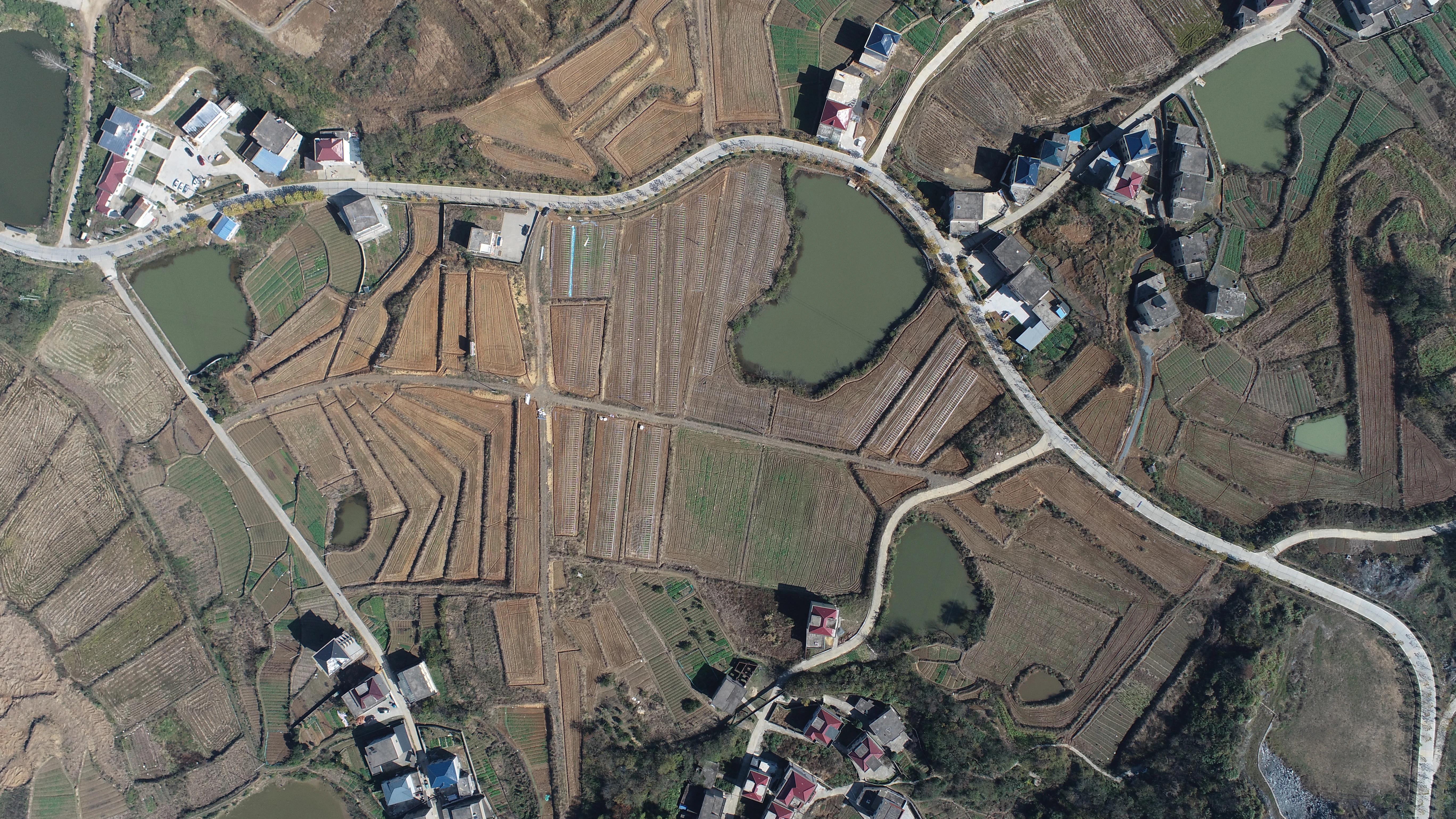 乡村振兴 | 马影镇:实施"一村一品" 助力乡村振兴 - 湖口县人民政府