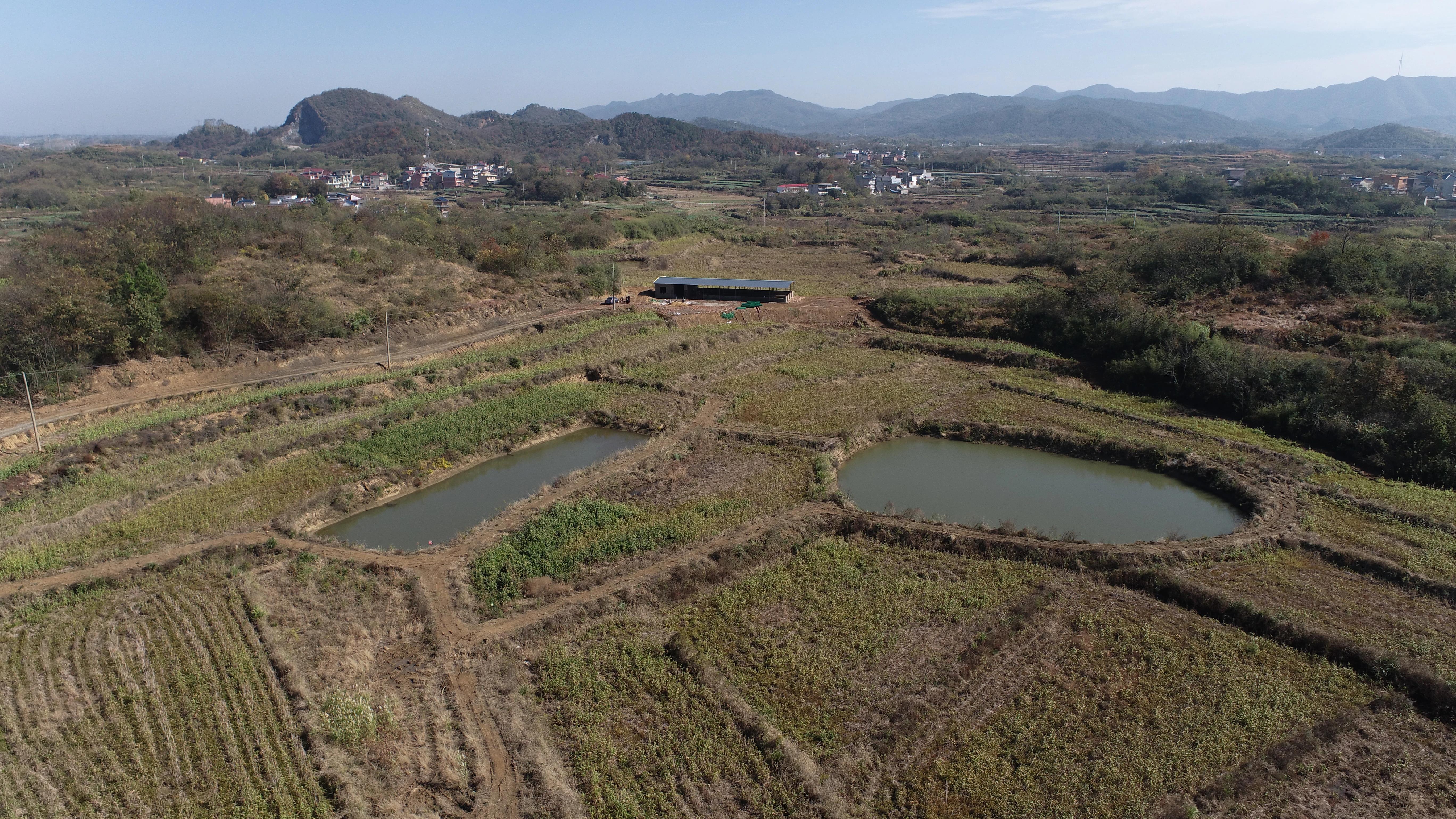 乡村振兴 | 马影镇:实施"一村一品" 助力乡村振兴 - 湖口县人民政府